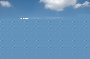 斯里兰卡铁路客车